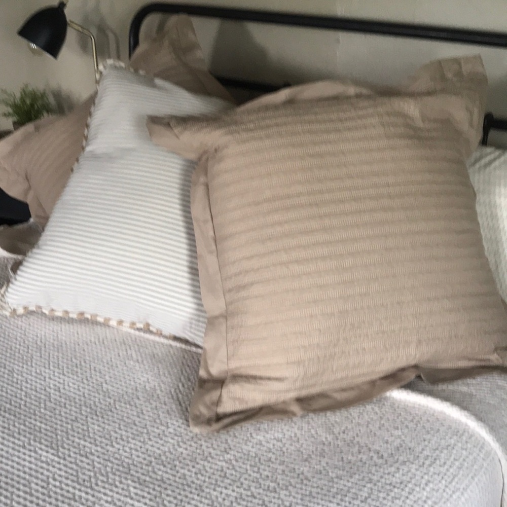 Pottery Barn Shams-2LNC